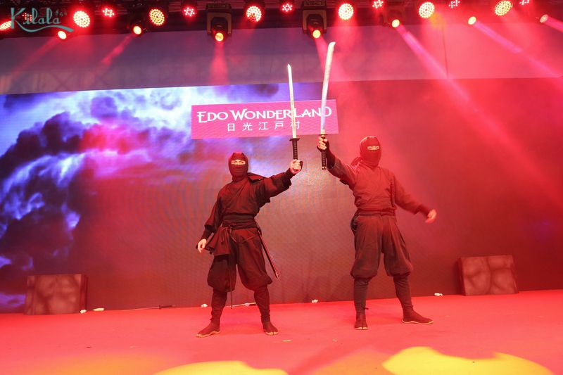 Ninja show