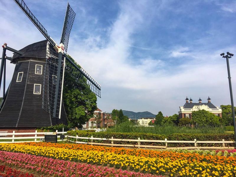 Museum Molen <span>–</span> vườn hoa tulip với những cối xay gió khổng lồ