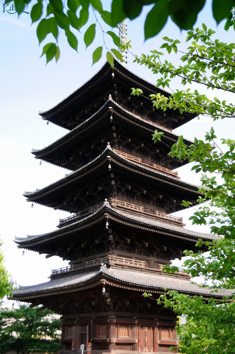 Tháp 5 tầng của chùa Toji – Tháp chùa gỗ cao nhất Nhật Bản