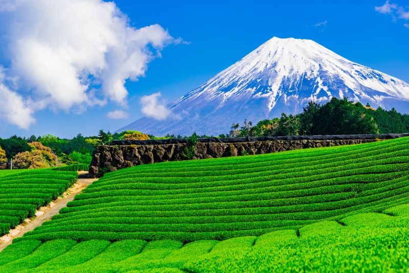 Đừng bỏ qua: Những địa danh “đứng nhất Nhật Bản”