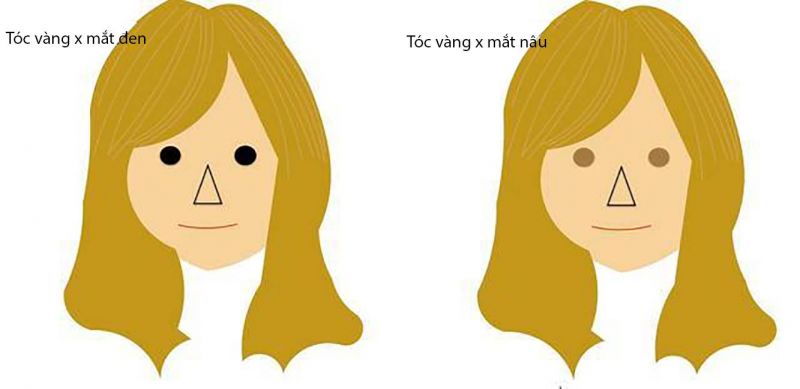 tại sao phải cân bằng màu tóc và màu mắt?