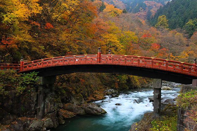 đừng nói Kekko khi chưa thấy Nikko