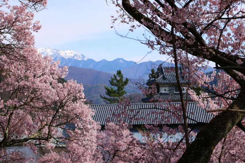 Takato Castle