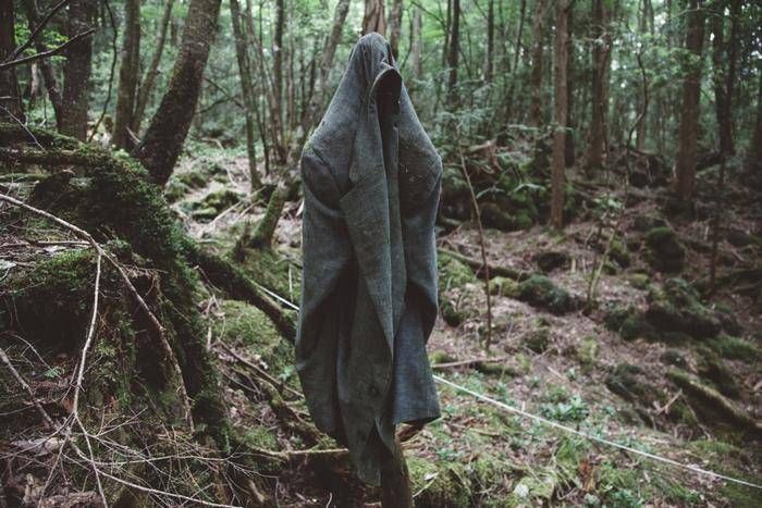Khám phá khu rừng tự sát ở Nhật Bản