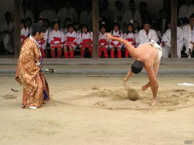 lễ hội Sumo Solo (Hitori Sumo Matsuri)