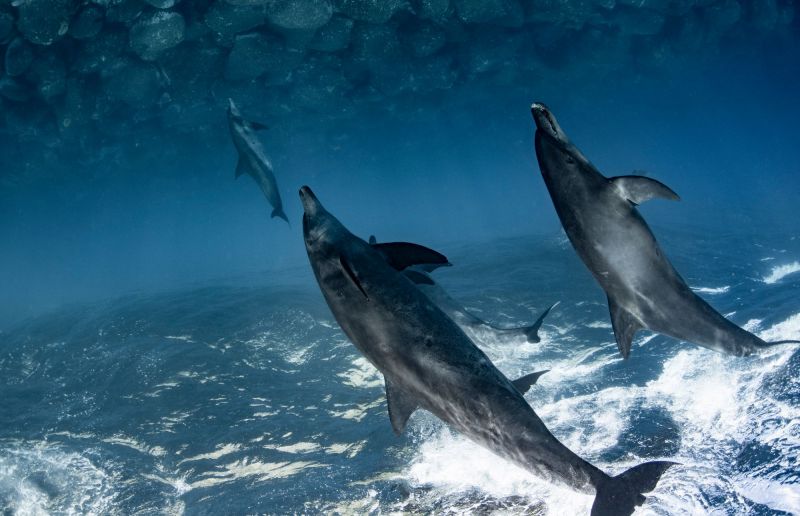 Tác phẩm của Takahashi Reiko