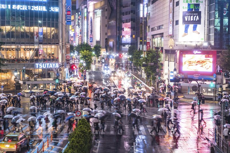 Văn hoá sử dụng dù: Các loại dù độc đáo ở Nhật Bản