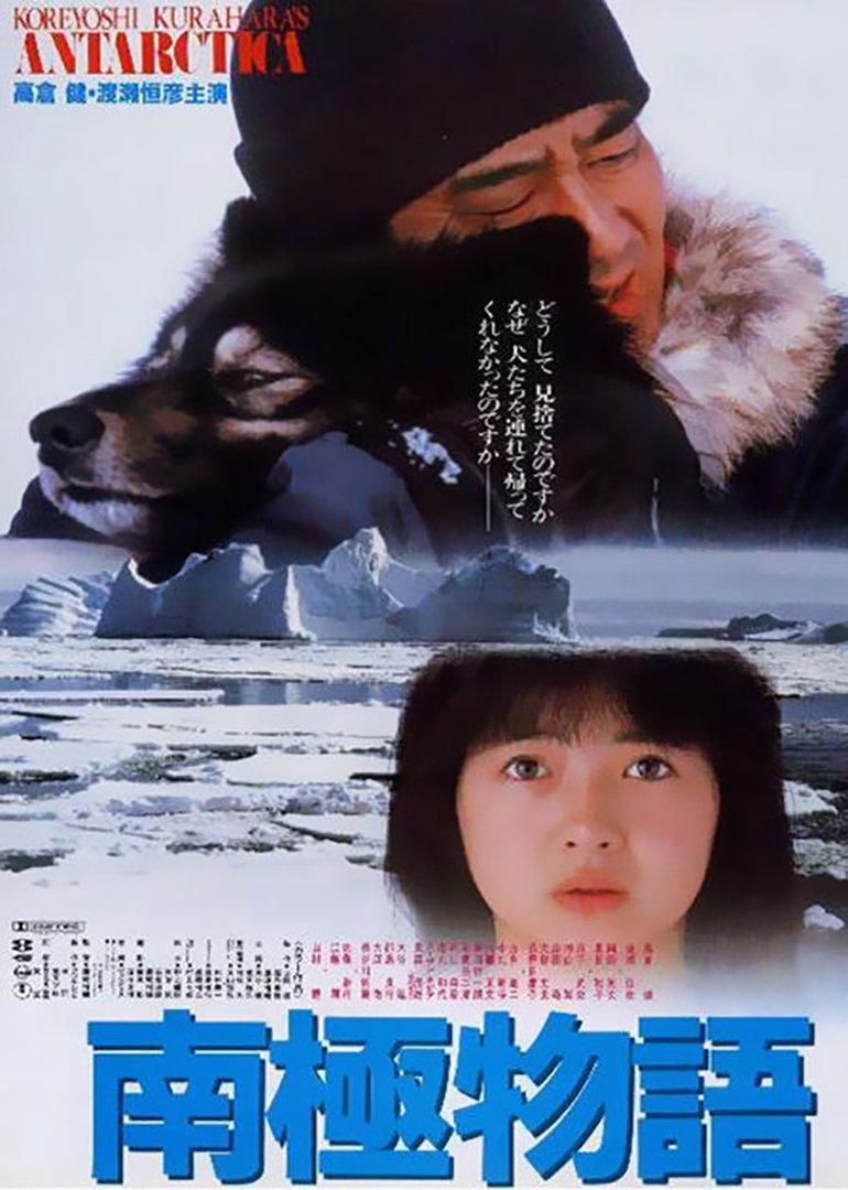 7 bộ phim Nhật về loài chó lấy hết nước mắt người xem