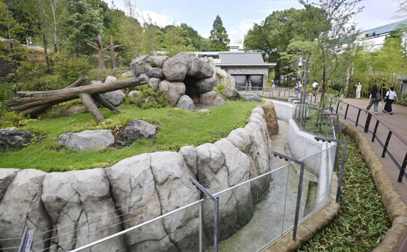 Chuồng gấu trúc mới rộng 6.800m2 ở sở thú Ueno