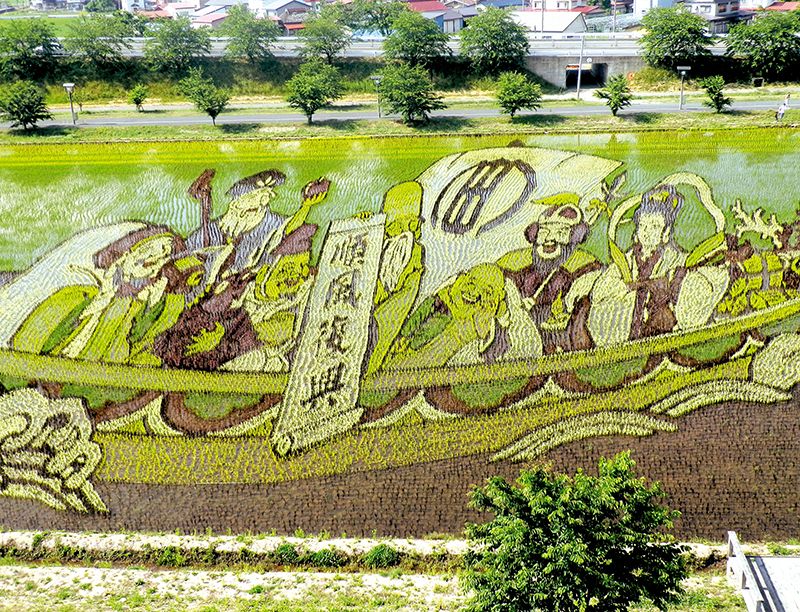 Nghệ thuật vẽ tranh trên đồng ruộng độc đáo của Nhật Bản