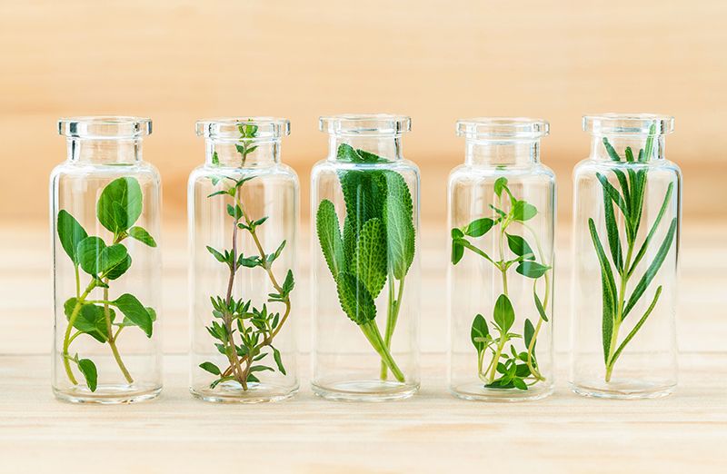 Aromatherapy: chăm sóc sức khỏe bằng hương thơm | KILALA