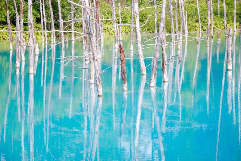 Aoi-ike: Hồ nước xanh nổi tiếng tại Hokkaido