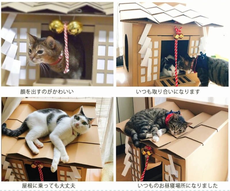 đền Thần đạo bằng giấy cứng cho mèo