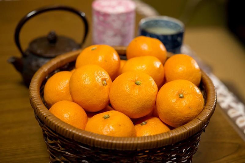 Mikan ở vùng Kyushu: Một mảnh lịch sử đầy ngọt ngào