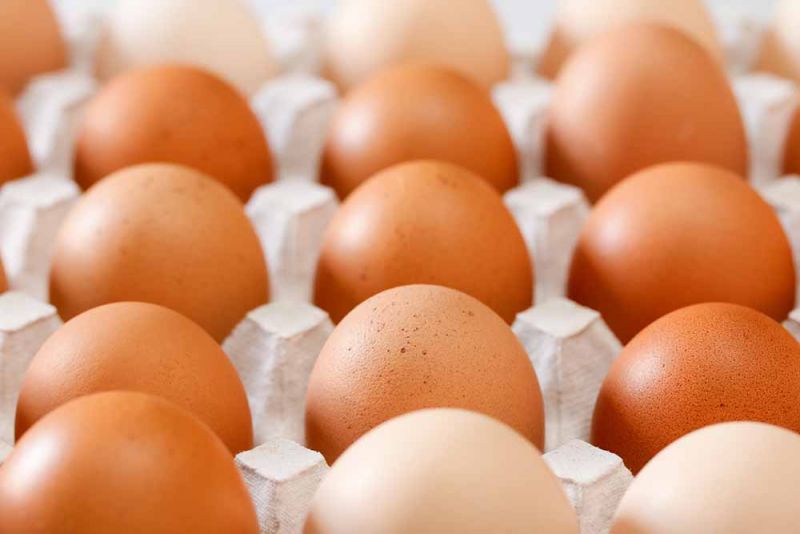 trứng tại Nhật Bản được sản xuất theo công nghệ đặc biệt