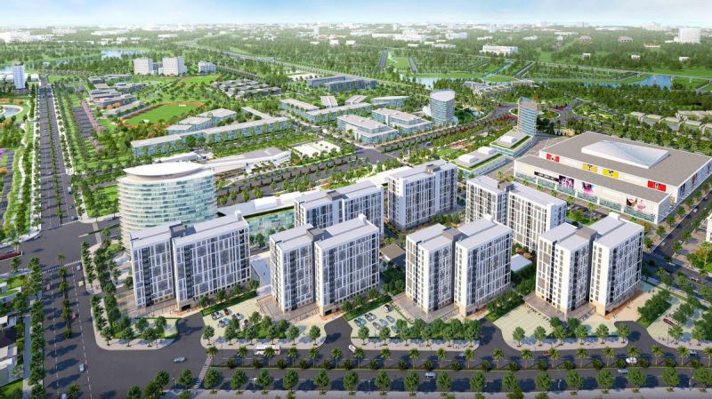 longan2.jpg longan2.jpg