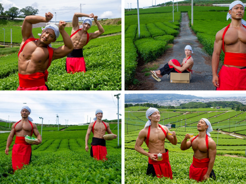 muscle plus muscle plus