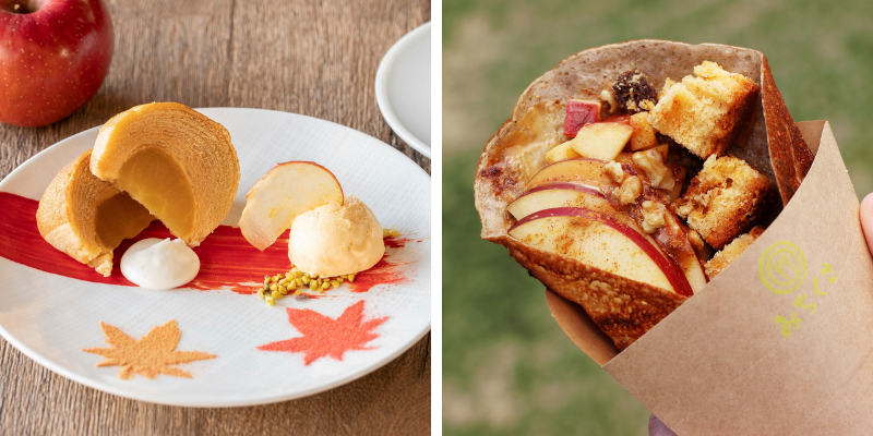 thư viện trong rừng