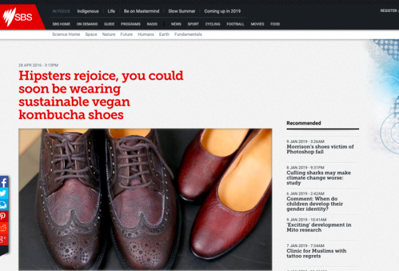 thuần chay thuần chay