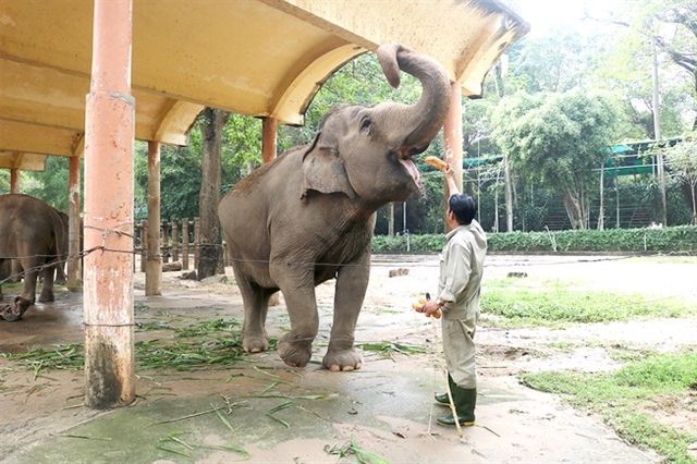 毎日、数千人の観光客が訪れていた ⓒ Vietnam News 毎日、数千人の観光客が訪れていた ⓒ Vietnam News