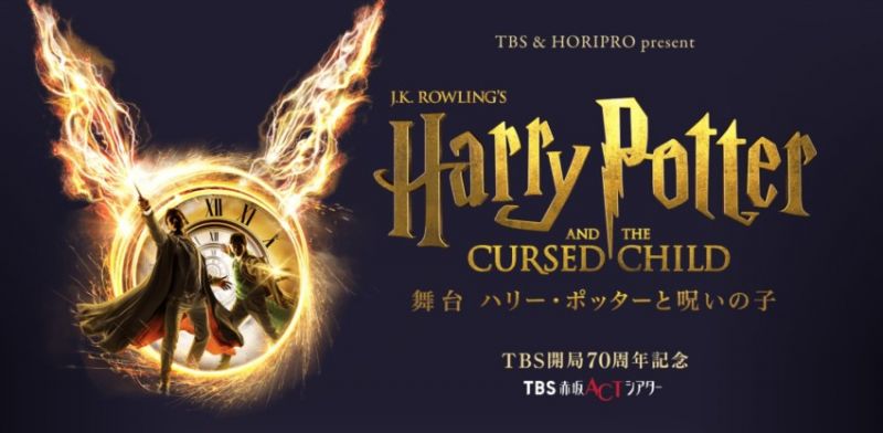 harry potter harry potter