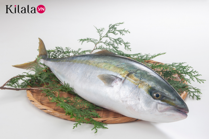 Cá Buri trở thành đặc trưng của mùa thu Hokkaido