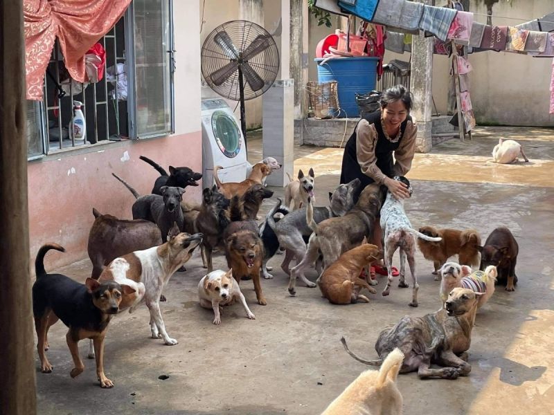 ⓒ Vn Express ⓒ Vn Express