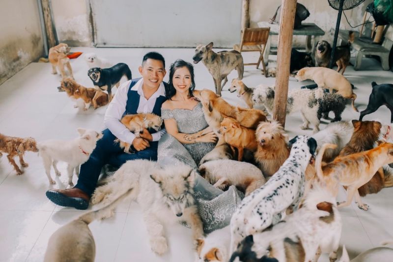 見捨てられた約350匹の犬、猫、ウサギ、カメなどを世話するグエン・クオック・カンさんとトラン・ユェン・ニューさん夫妻 ⓒ Vn Express 見捨てられた約350匹の犬、猫、ウサギ、カメなどを世話するグエン・クオック・カンさんとトラン・ユェン・ニューさん夫妻 ⓒ Vn Express