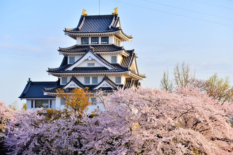 U olomon ichida bir yigitni soradi U olomon ichida bir yigitni soradi