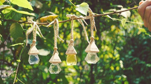 BEFINEは持続可能な発展を目指すエッセンシャルオイルビジネスを追求している 　ⓒ Befine