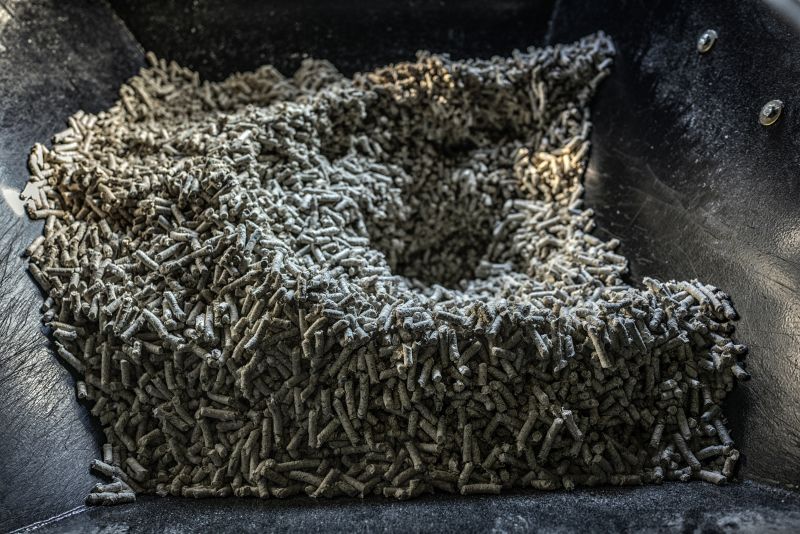 tái chế tã giấy