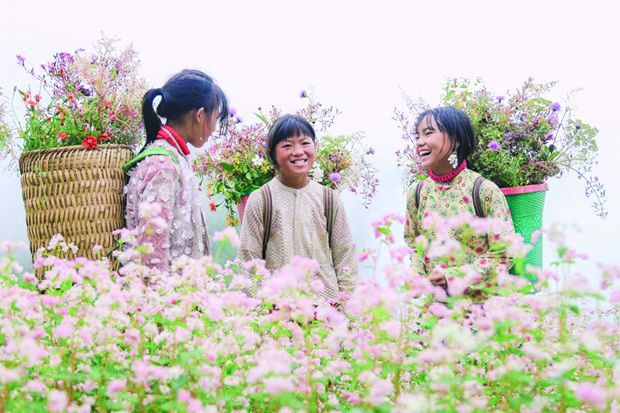 そばの花畑に立つハザンの子供たち ⓒ Vietnam News そばの花畑に立つハザンの子供たち ⓒ Vietnam News