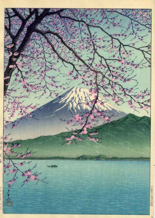 núi Phú Sĩ và hoa anh đào