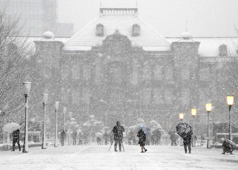 tuyết phủ tokyo tuyết phủ tokyo