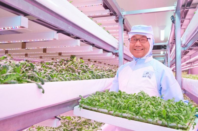 canh tác theo chiều dọc canh tác theo chiều dọc