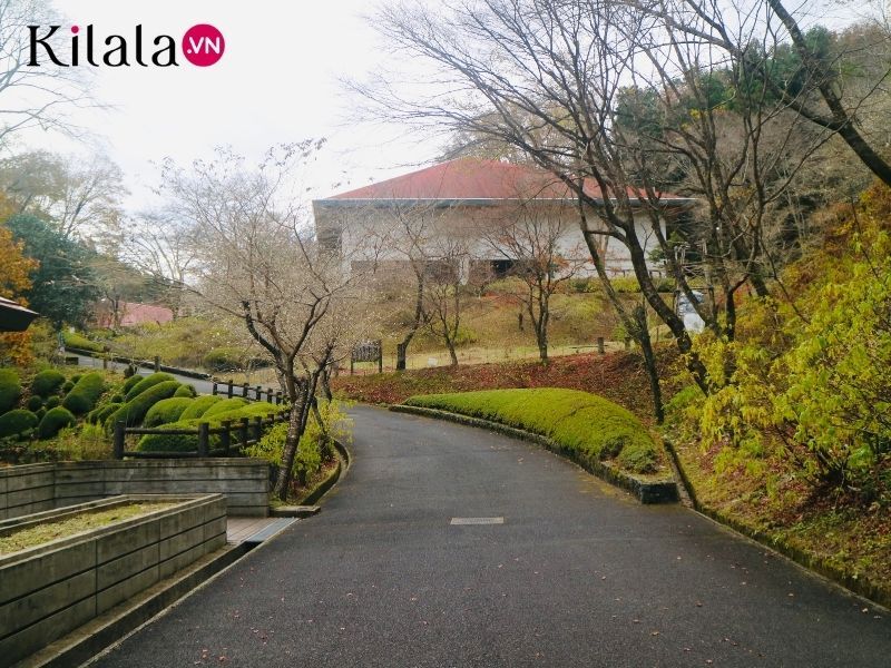 lối vào bảo tàng giấy