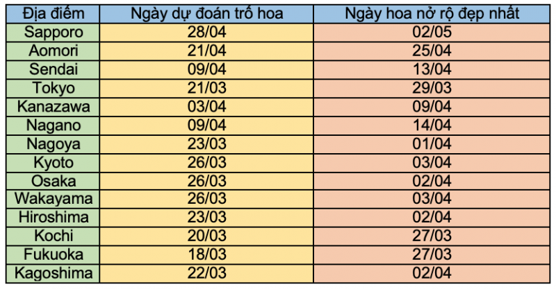 lịch hoa anh đào nở năm 2022 nhật bản 2