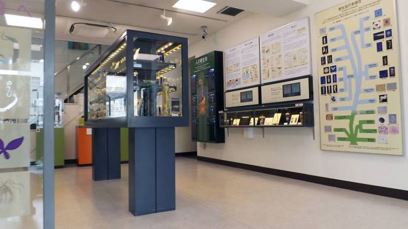Bảo tàng ký sinh trùng Meguro: Kinh dị hay thú vị?