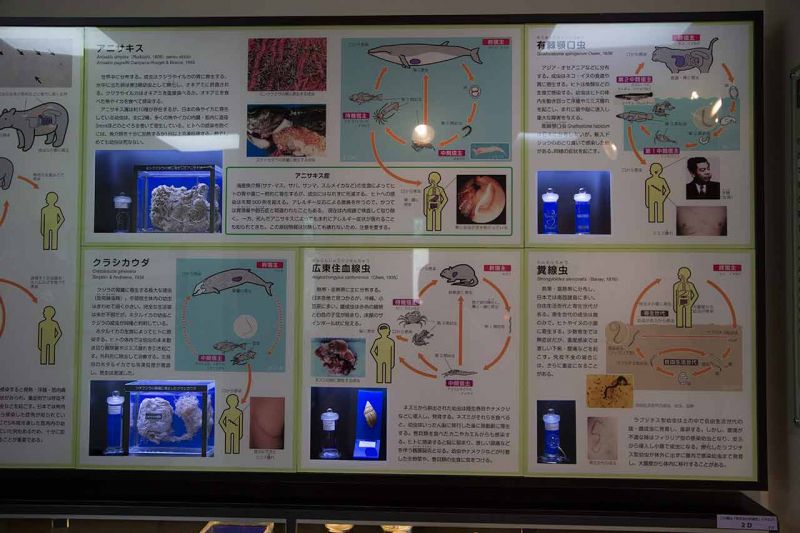 ký sinh trùng ký sinh trùng