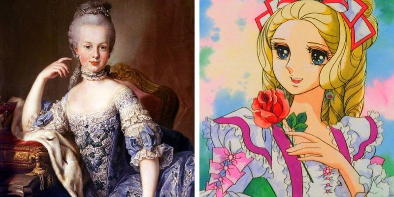 Vương hậu Marie - hoa hồng versailles Vương hậu Marie - hoa hồng versailles