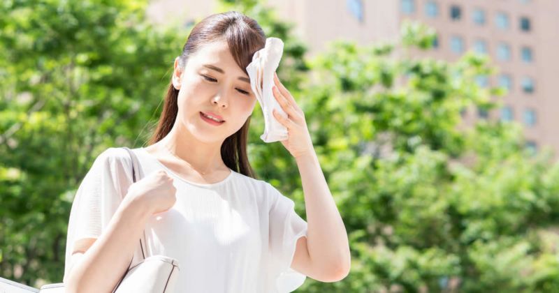 từ vựng tiếng nhật về mùa hè từ vựng tiếng nhật về mùa hè