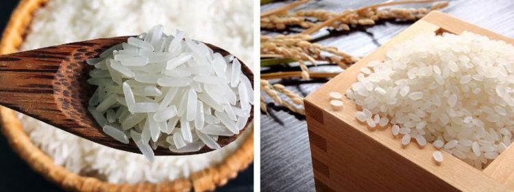 gạo Nhật gạo Việt gạo Nhật gạo Việt