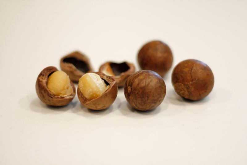 2064386_m.jpg 2064386_m.jpg