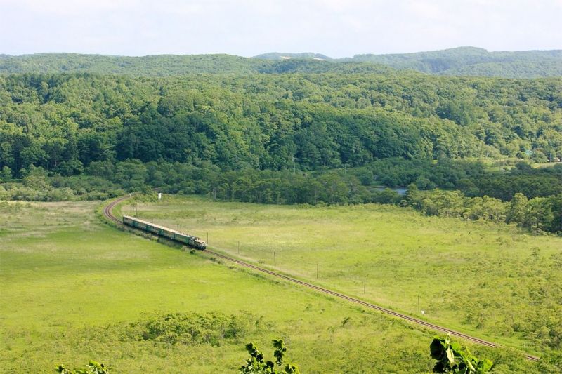 xe lửa chạy bằng hơi qua xuyên qua đầm lầy kushiro
