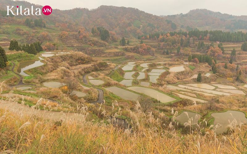 ruộng bậc thang