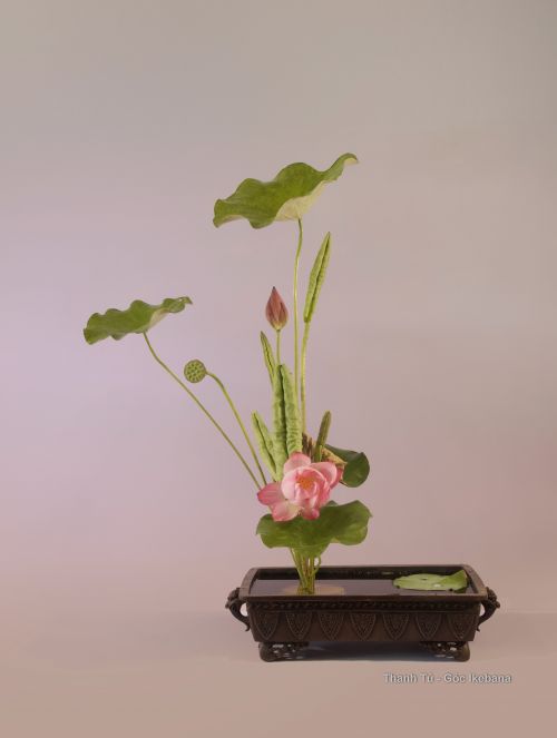 ikebana