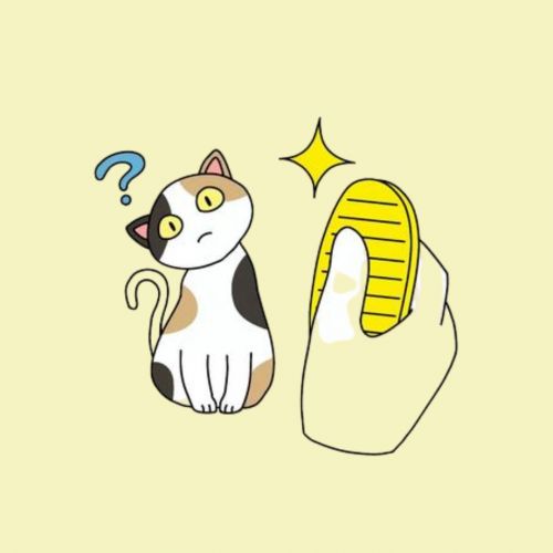 Những câu thành ngữ tiếng Nhật liên quan đến mèo và chó