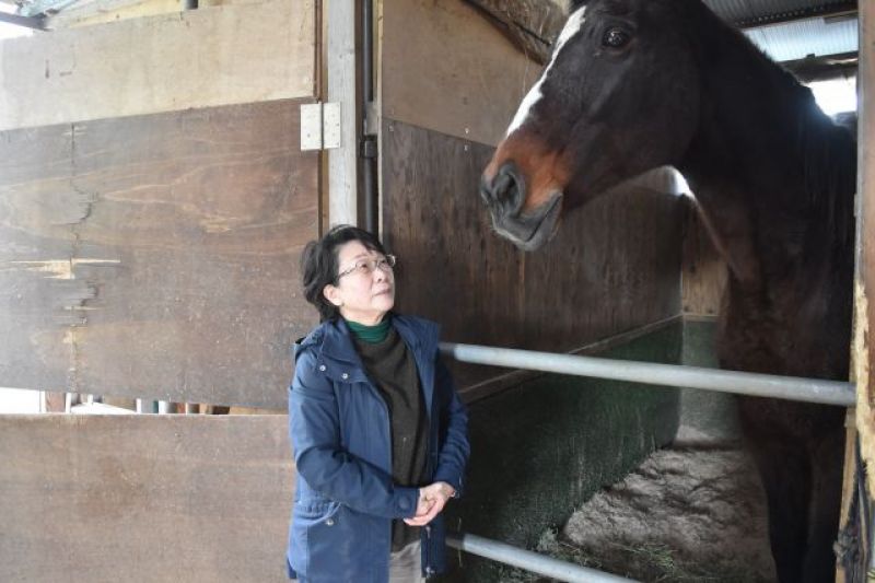 tình yêu sâu đậm của bà Kyoko Nutama dành cho ngựa