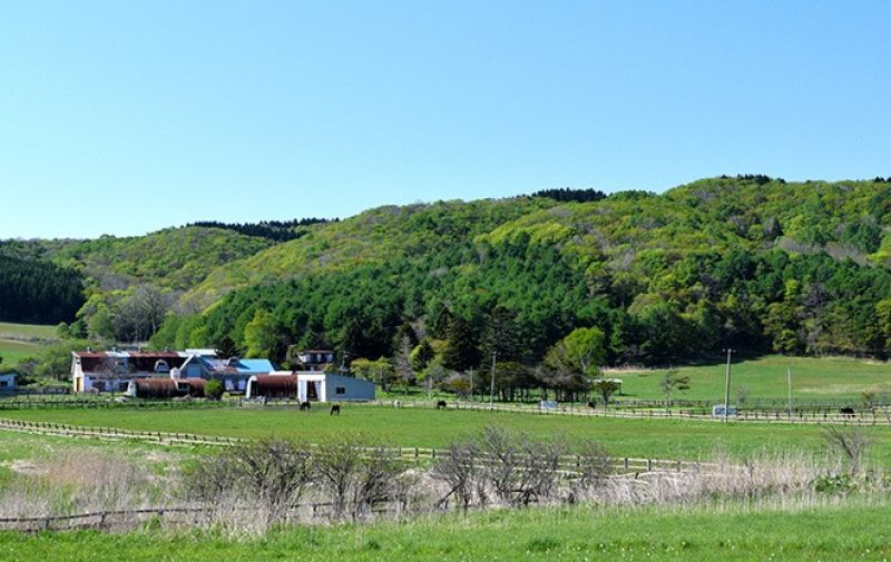 trang trại Northern Lake