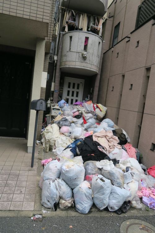 căn nhà bị chôn vùi bởi rác